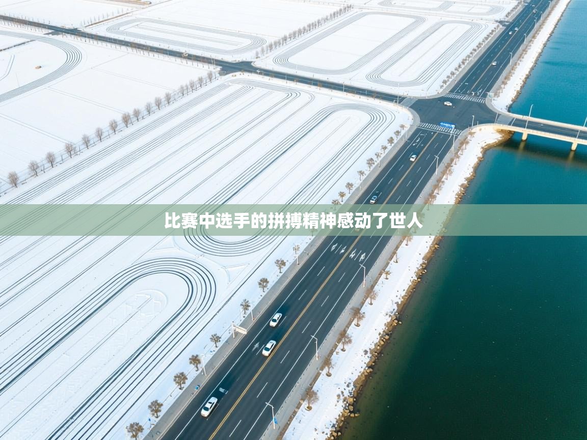 比赛中选手的拼搏精神感动了世人